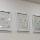 미드미(midmi) 이미지