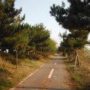 갯골생태공원(캠핑장) 이미지