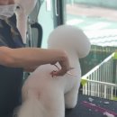 잇츠그루밍타임 이미지