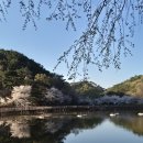 마장지 공중화장실 네이버블로그