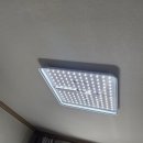 배재로 | 대전 서구 도마동 방등교체｜전등 안 켜짐·깜빡임 LED조명 교체 당일해결 후기