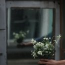 bouquet 이미지
