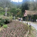 수목원가든 | 춘천 가볼 만한 곳 추천 + 제이드가든 수목원 방문 후기