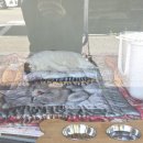 투썸플레이스 대전탄방중앙점 이미지