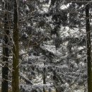 아라목장 이미지