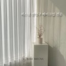 비비브로우 이미지