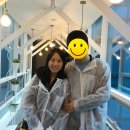 The, rium 이미지