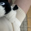 멍멍사우나 이미지