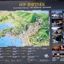 명품꽃마을 이미지