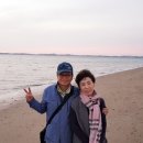 친구야 Daum카페