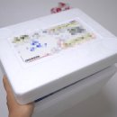 혼자멍냥 이미지