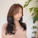 자자헤어 이미지