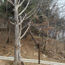 영주 석교리 석조여래입상 | 아산 평촌리 석조약사여래입상