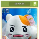 뽑기짱 이미지