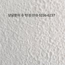 어울림바이오 네이버블로그