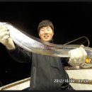 여수왕갈치 Daum카페