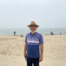 대천 이미지