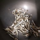 우수식당 이미지