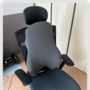 사무실의자 등받이쿠션 추천, 튼튼하게 지지해주는 라이프엣지 등받이쿠션 후기