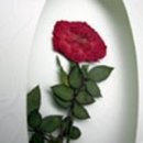 GreenFarm 이미지