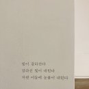 선스페이스 이미지