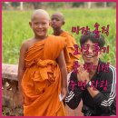 동양카인테리어 | 마잔 사라라 튤립 인 솔직 후기 조식, 룸 컨디션, 주변 관광 정보