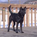 방배2동018_ 이미지