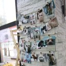 구로종합동물병원 이미지