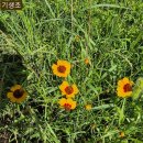 신산초난산분교장 | 제주의 동쪽 끝자락, 성산읍 난산리 중산간 마을 탐방