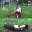 연진농장 네이버블로그