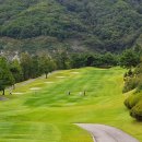 버드우드골프클럽 이미지