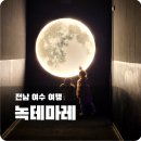 만성로 | 여수아이와가볼만한곳 녹테마레, 종합권으로 다녀온 리얼 후기