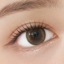 데메테르H 이미지