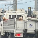 시장4길 이미지