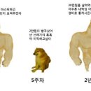 피식 이미지