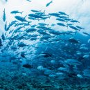 에스온누리약국 이미지