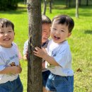 시립효성해링턴2단지어린이집 이미지