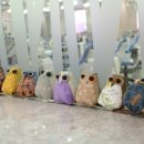 참진의원 이미지