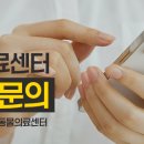 석촌호수동물병원 이미지