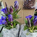 용담샘터 이미지