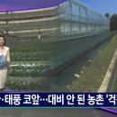 태학농장 이미지