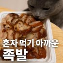 서대시장족발 | [공지] “혼자 먹기 아까운 족발, 서대시장족발 배달 후기 (내돈내산)”