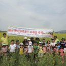 화정그린에너지