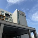 호텔빠레브사우나 | 제주 가성비 서귀포 호텔 추천 4성급 호텔 빠레브 솔직 후기