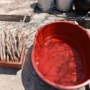 신흥1농장 이미지