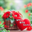 성품. 천수 코스모스.차일피일.곤지암님의 유전천리2 이미지