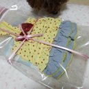 트윙클 펫샵 이미지