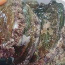 바다향 참전복 이미지