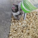 매산리 538 이미지