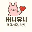 &#34;오사카 2박 3일 써니유니 가족여행 꿀팁 대방출🍱 유니버설 스튜디오·도톤보리까지!&#34;